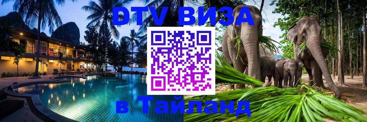 Оформление DTV визы под ключ: стоимость и тарифы, только загранпаспорт - 19.11.2025 